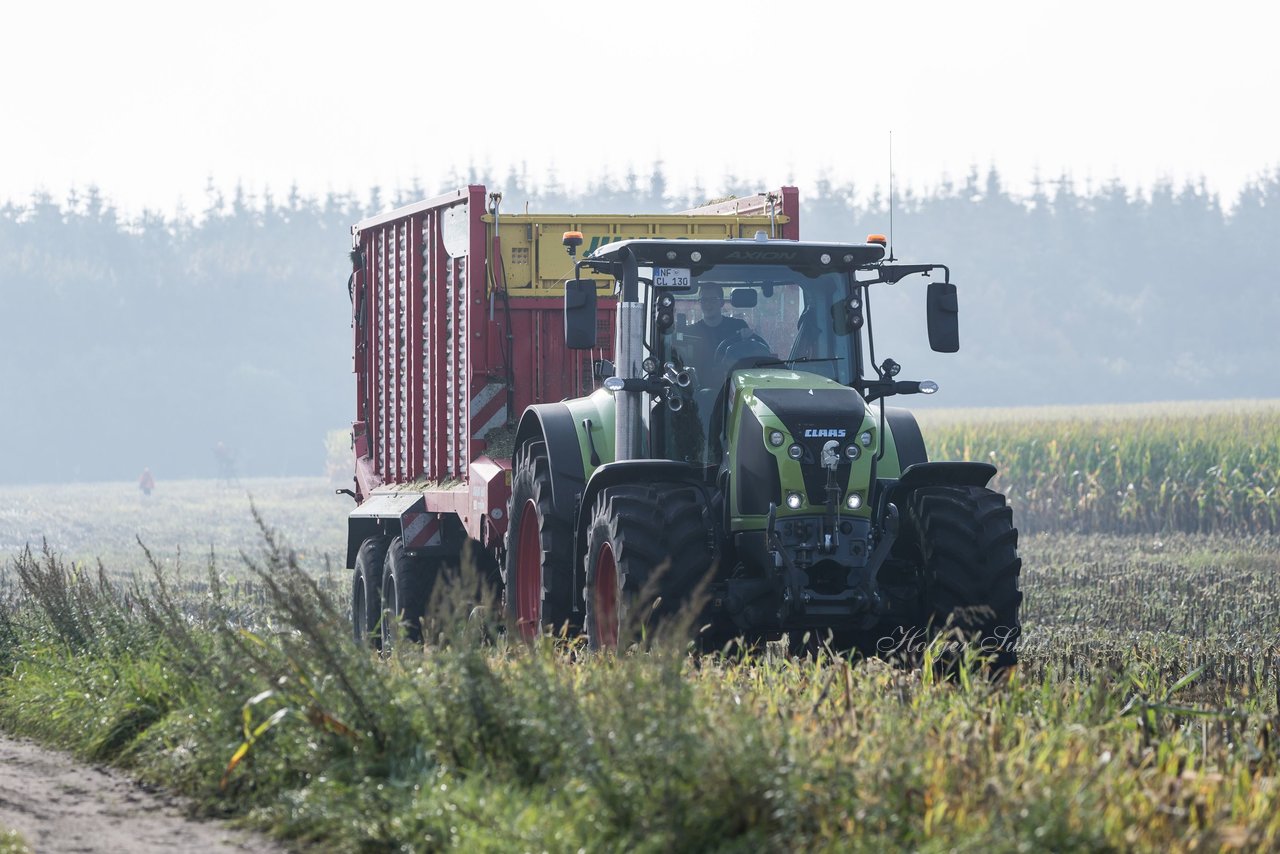 Bild 132 - Maisernte